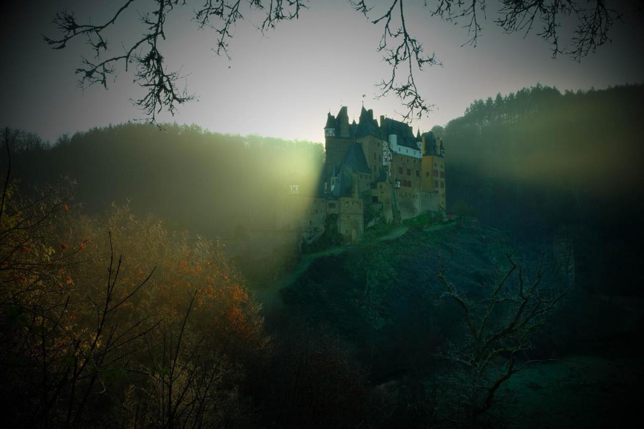 Ferienhaus Moselkern - Bis 8 Personen - Tiere Erl. - Blick Auf Die Mosel Vila Exterior foto